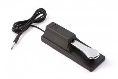  Nord Single Sustain Pedal