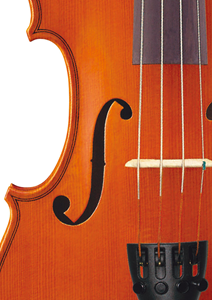 Bild för kategori Violiner