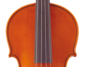 Bild för kategori Viola