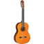 Bild på Gitarr CGX102A