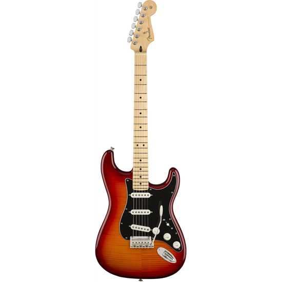 Bild på Fender Player Stratocaster® Plus Top Maple Fingerboard Aged Cherry Burst