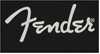 Bild på Fender Spaghetti Logo Mens T-Shirt Black Medium