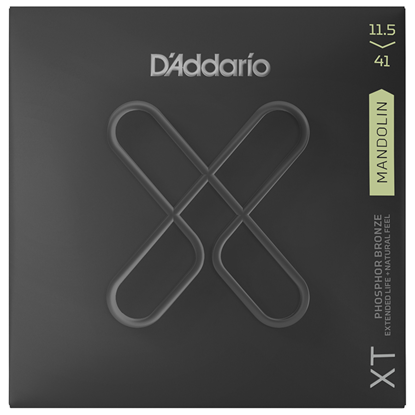 D'Addario XTM11541 Mandolin Medium Heavy