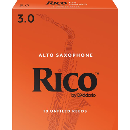 Rico RJA1030 Altsaxofon 3.0 10-Pack
