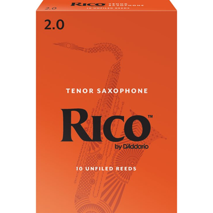 Rico RKA1020 Tenorsaxofon 2.0 10-Pack