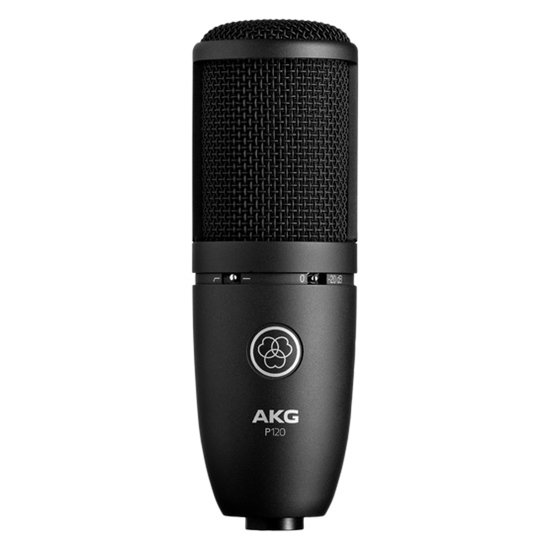 Bild på AKG P120