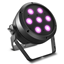 Cameo Root Par 4 Spotlights 