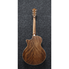 Ibanez AE205JR-OPN Open Pore Natural 