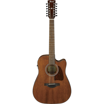Ibanez AW5412CE-OPN Open Pore Natural 
