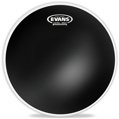 Evans Black Chrome 20" 