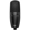 Shure SM27 Professional Large Diaphragm Condenser Microphone
