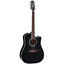 Takamine EF341SC