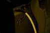Bild på Fender Pro Glow in the Dark Cables 18,6' Orange