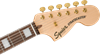 Bild på Squier 40th Anniversary Stratocaster® Gold Edition Sienna Sunburst