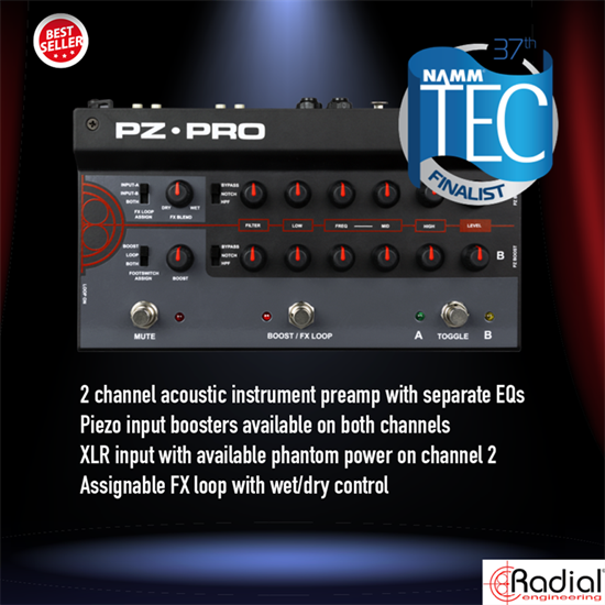 Radial PZPro 2Channel Acoustic Preamp Musikcentralen Musikaffär i