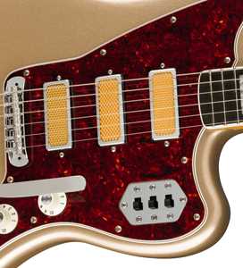 Bild för kategori Fender Gold Foil