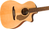 Bild på Fender Newporter Player Natural
