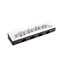 Bild på Hohner Speedy black/white