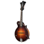 Bild på Gibson F-5G Dark Burst Mandolin