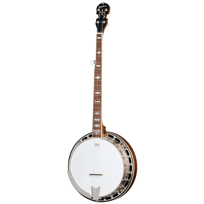 Bild på Epiphone Mastertone Classic Banjo Natural