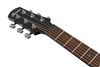 Bild på Ibanez AAM340CE-RUB Rustic Black High Gloss