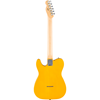 Bild på Fender Standard Telecaster® - Maple Fingerboard Butterscotch Blonde