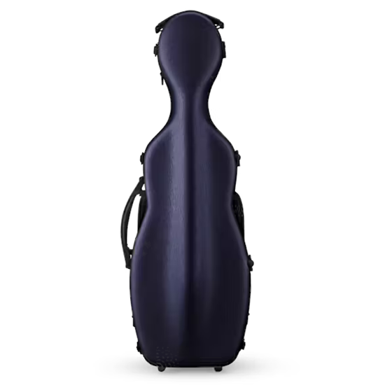 Bild på Eastman CAVL30 Blue 4/4 Violin etui