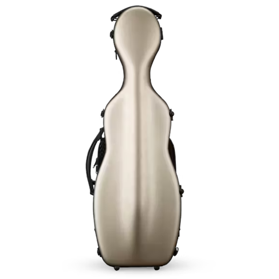 Bild på Eastman CAVL30 Gold 4/4 Violin etui