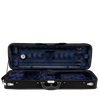 Bild på Eastman CA1904-LITE Blue interior 4/4 Violin etui