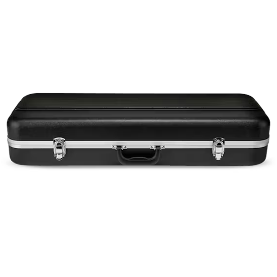 Bild på Eastman CA450 4/4 Violin etui