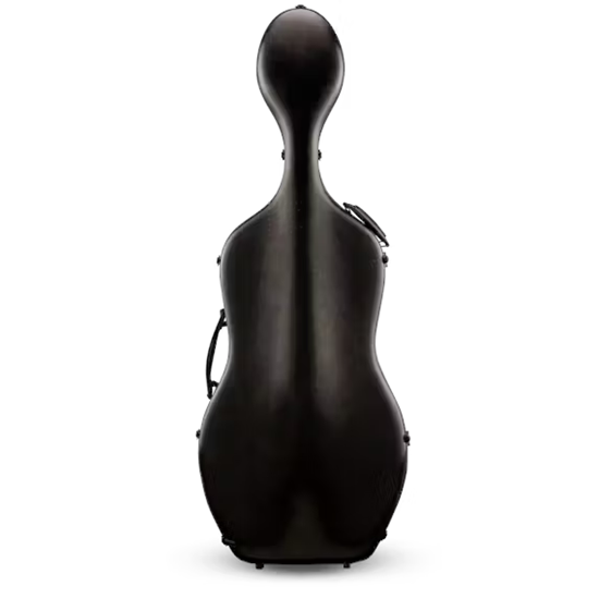Bild på Eastman CACL30 Black 4/4 cello etui