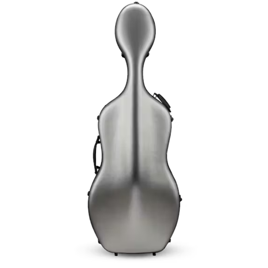 Bild på Eastman CACL30 Silver 4/4 cello etui