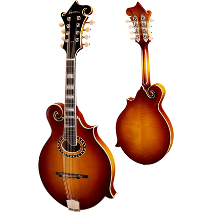 Bild på Eastman MD614 Goldburst