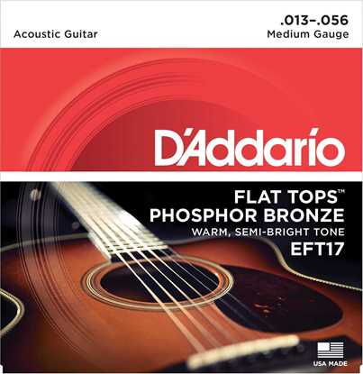 Bild på D'Addario EFT17