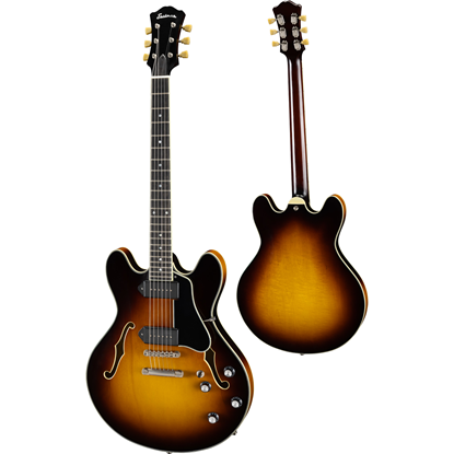 Bild på Eastman Thinline T60/TV Sunburst