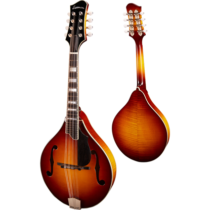 Bild på Eastman MD605 Goldburst