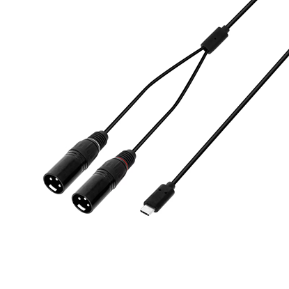 Bild på Adam Hall 3 STAR Y MM USB-C 0300 USB-C Y-cable  2 x XLR male x USB-C  3 m