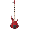 Bild på Ibanez ANB205-TWB Transparent Wine Red Burst Adam Nitti Signature
