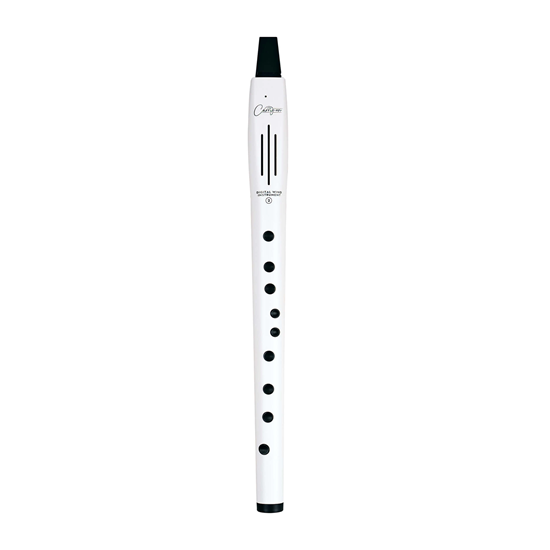 Bild på Carry-on by Blackstar Digital Wind Instrument 2 - White