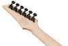 Bild på Ibanez RG421DX Twilight Shade