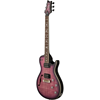Bild på PRS SE Zach Myers Elderberry Burst
