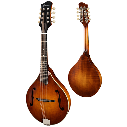 Bild på Eastman MD305 Adirondack Amberburst