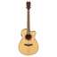 Yamaha TAS1 C Natural TransAcoustic