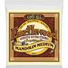 Bild på Ernie Ball 2065 Earthwood 80/20 Mandolin Medium Loop End