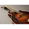 Bild på Fishman M-300 Archtop Mandolin Pickup