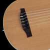 Bild på Godin Multi Oud Encore Nylon Natural SG