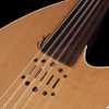 Bild på Godin Multi Oud Encore Nylon Natural SG