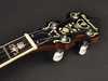 Bild på Richwood Heritage Series Bluegrass Banjo 5-string