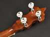Bild på Richwood Heritage Series Bluegrass Banjo 5-string
