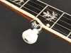 Bild på Richwood Heritage Series Bluegrass Banjo 5-string